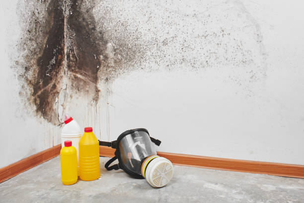 Best Professional Mold Removal  in Crawford, GA