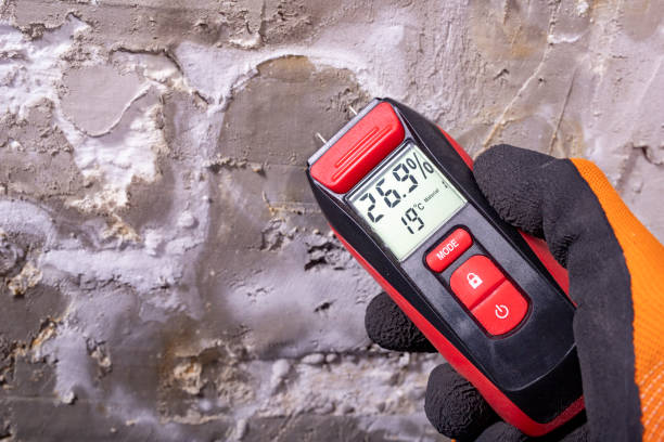 Best Home Mold Removal  in Crawford, GA