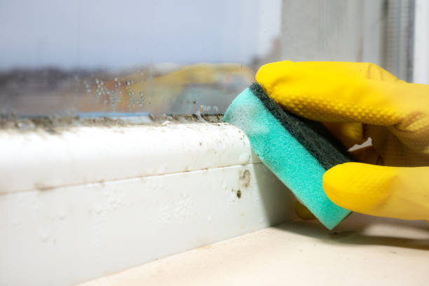 Best Office Mold Removal Services  in Crawford, GA