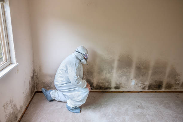 Best Toxic Mold Removal  in Crawford, GA